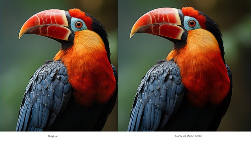 Side-by-side comparison of a bird's photo. The left image labeled "Original" shows vibrant blue, black, orange, and red feathers of a toucan. The right image, labeled "Aiartsy 2X Mode-detail," presents a sharper, more detailed version of the same bird.