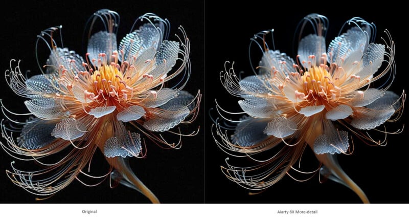 A digital artwork of a flower is shown in two versions side by side. The left version, labeled "Original," has fewer details and muted colors. The right version, labeled "Akari 8X More-detail," has intricate details, vibrant hues, and a more complex texture.