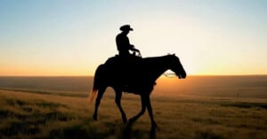 Silhouette of a cowboy riding a horse during sunset on an open field. The sun is low on the horizon, casting a golden light over the landscape, which is filled with rolling hills and grass. The scene evokes a sense of tranquility and freedom.