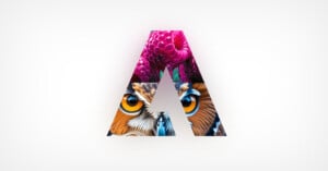 A stylized letter 'A' with a gradient color overlay. The top section features a vibrant pink and purple abstract design. The middle section showcases a detailed image of an owl’s eyes and beak, blending into the bottom section, which has a feather pattern.
