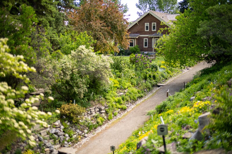 A quaint brown house with a gabled roof sits amidst a lush garden filled with various plants and blooming flowers. A curved dirt pathway flanked by greenery leads up to the house. Trees and shrubs surround the scene, creating a serene, natural setting.
