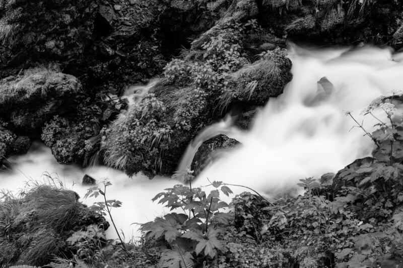 A tranquil black-and-white photo of a small waterfall flowing over rocks surrounded by lush vegetation. The long exposure creates a silky effect on the water, emphasizing the contrast between the flowing stream and the static nature around it.