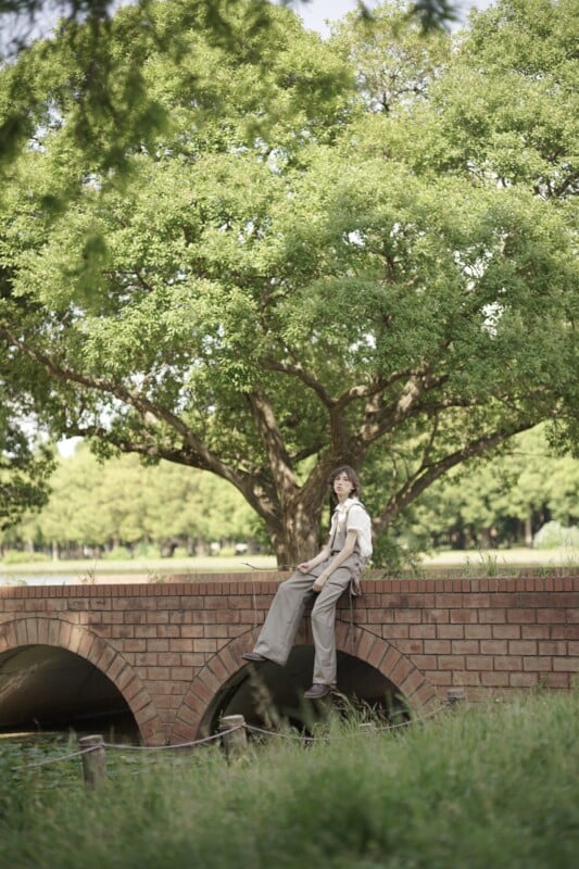 A person wearing casual clothing sits on a brick bridge with greenery all around. A large tree with dense foliage stands prominently behind them. The person appears relaxed, enjoying the serene outdoor setting.
