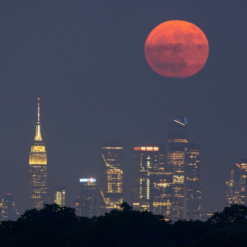 A bright orange harvest moon rises over a city skyline at dusk. The cityscape includes various illuminated skyscrapers, with trees in the foreground adding a touch of nature to the urban scene. The sky has a deep, dusky blue tone.