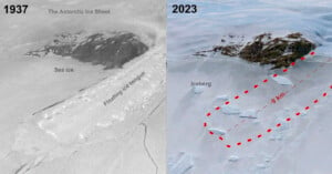 Side-by-side comparison of a region in the Antarctic Ice Sheet from 1937 and 2023. The left image is labeled "1937" showing extensive sea ice and a floating ice tongue. The right image, labeled "2023," shows a 9 km-long iceberg that has broken off, surrounded by floating ice.