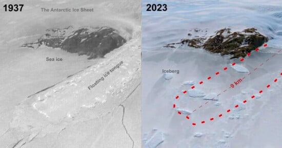 Side-by-side comparison of a region in the Antarctic Ice Sheet from 1937 and 2023. The left image is labeled "1937" showing extensive sea ice and a floating ice tongue. The right image, labeled "2023," shows a 9 km-long iceberg that has broken off, surrounded by floating ice.