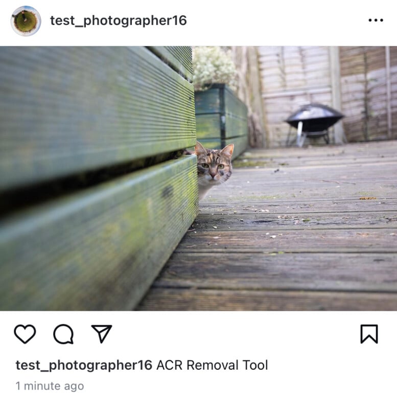A cat with white, brown, and black fur peeks around the corner of a wooden structure on a weathered deck. The background shows a barbecue grill and a wooden fence. The Instagram username "test_photographer16" is displayed at the top.