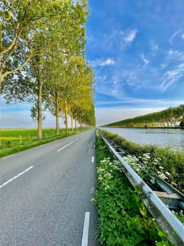 A scenic road lined with tall, leafy trees stretches into the distance under a blue sky with wispy clouds. To the right of the road is a calm canal bordered by green bushes and a metal barrier, creating a serene and picturesque landscape.