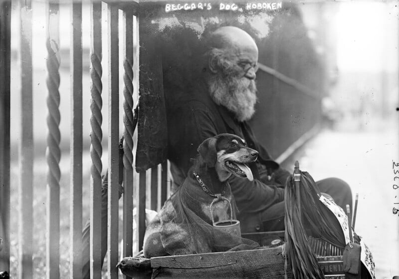 A bearded elderly man sits on the sidewalk by a fence with a sign reading "BEGGAR'S DOG HOBOKEN." Next to him is a dog wearing a jacket, panting with its tongue out. Various items, including an umbrella, are placed nearby.