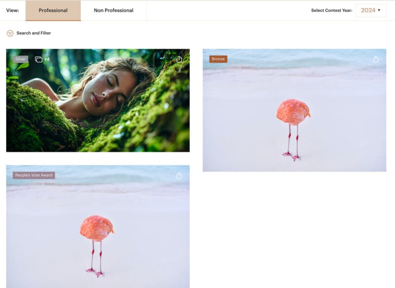 A collage of three images from a photo contest website: - The top left image, marked "Silver," shows a person sleeping peacefully on moss. - Two images on the right, both of a lone pink flamingo on a beach. The top one is labeled "Bronze." The bottom one is marked "People's Vote Award.