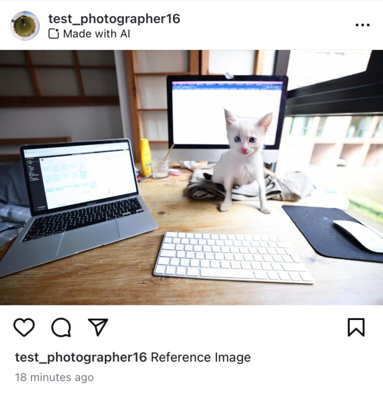 A small white kitten sits on a wooden desk in front of two open laptops. One laptop is displaying a coding interface. A keyboard and a mouse are also on the desk. There is a window in the background. The Instagram username is test_photographer16.