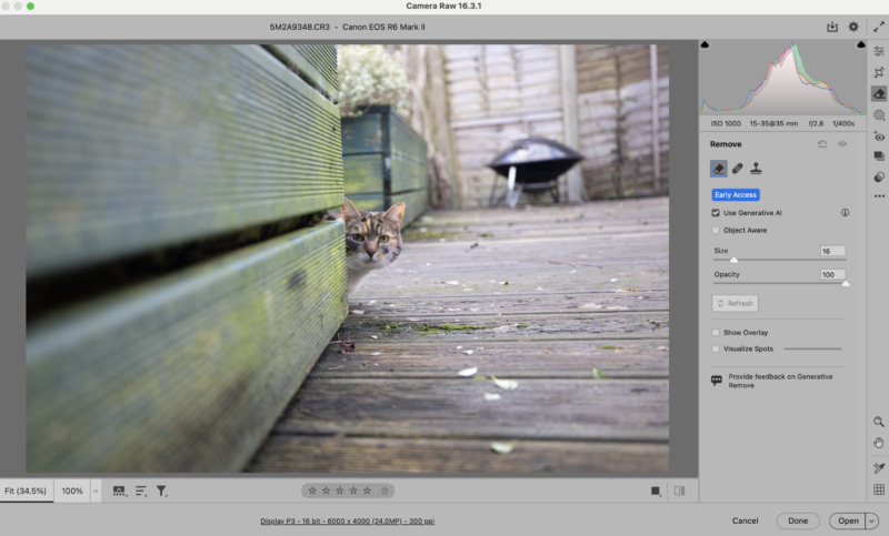 A curious cat peeks from behind a wooden fence on a weathered deck. The image is edited in Camera Raw with various adjustment sliders and editing tools visible on the right side of the screen. A barbecue grill is blurred in the background.