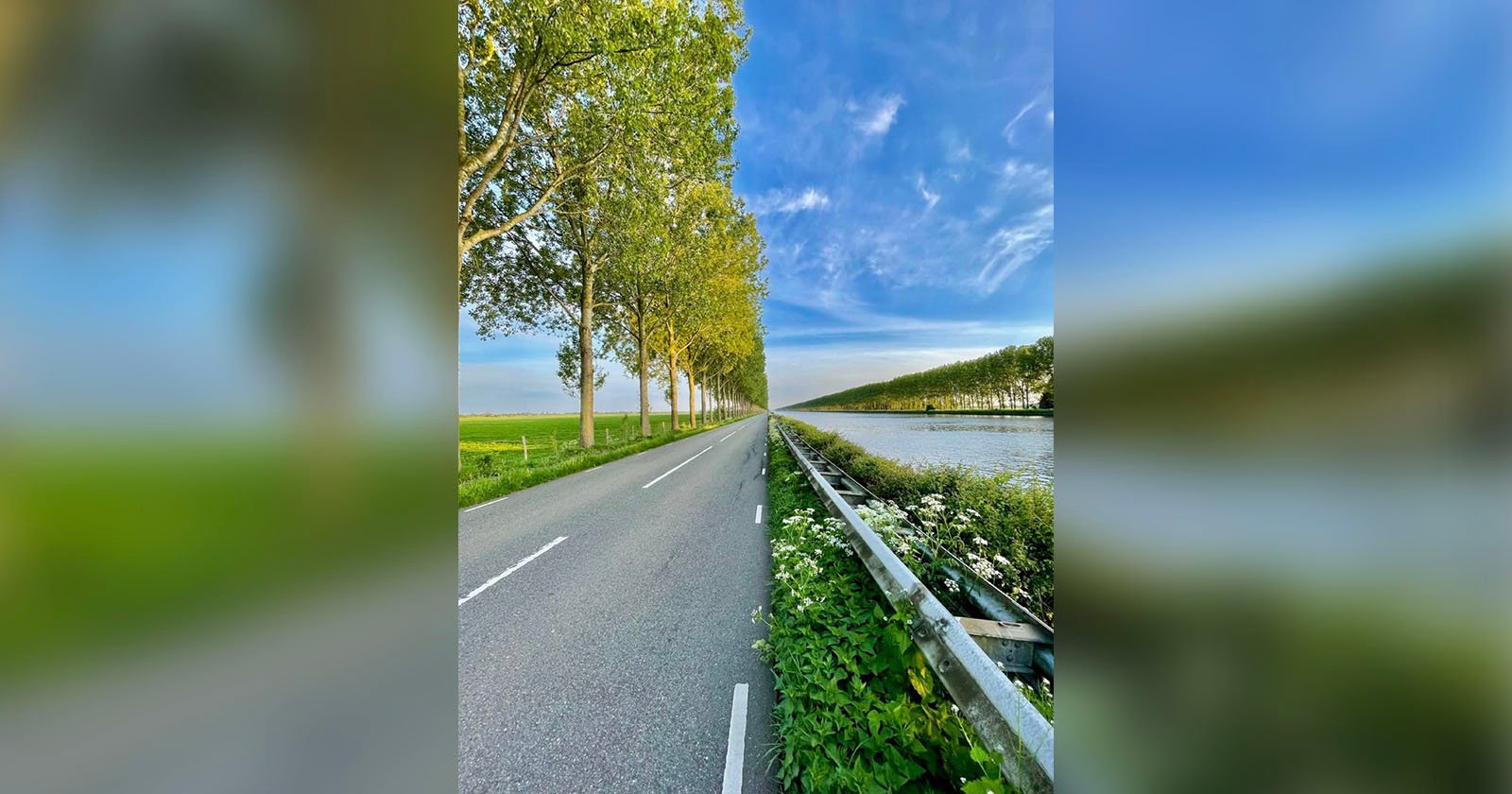 A scenic road runs alongside a canal, bordered by tall trees on the left and a guardrail with wildflowers on the right. The sky above is bright blue with scattered clouds, creating a serene and inviting atmosphere.