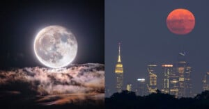 The image is split into two panels: The left shows a bright full moon above a layer of clouds at night. The right displays an orange-hued moon rising over a city skyline with illuminated skyscrapers, including a tall, pointed one resembling the Empire State Building.