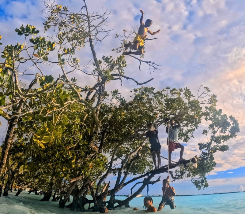 A group of children play on and around a partly submerged mangrove tree in a tropical body of water. One child is captured mid-air, jumping into the water, while others are climbing the tree or standing in the water. The sky is partly cloudy with a warm, golden light.