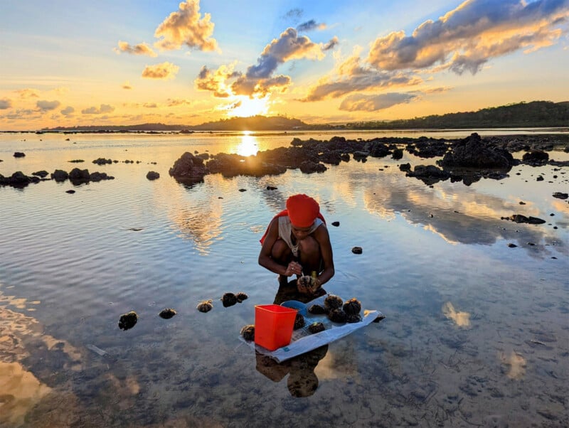 A person wearing a red headscarf crouches in shallow water during low tide, gathering shellfish. The sunrise or sunset creates a warm glow, reflecting off the water. Rocks are scattered around, and a red pail sits nearby on a white platform.
