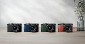 Four Lumix cameras are displayed on a wooden surface, each with different colored bodies: black, blue, green, and red. A clear vase with an arrangement of greenery stands to the right against a light-colored wall.