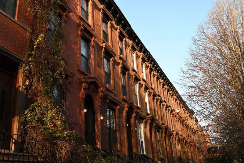 A row of brownstone buildings in warm evening light, with ivy climbing up one of the facades on the left. Leafless tree branches stretch from the right edge of the image towards the sky, contrasting with the clear blue backdrop.