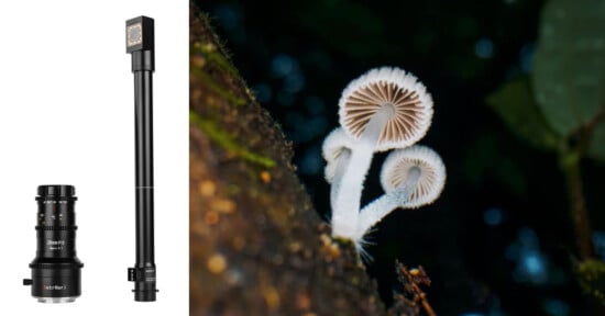 On the left, a camera setup with a vertical lens extension is shown. On the right, three white mushrooms with delicate gills are growing on a tree trunk, contrasting against a dark, blurred background. The fungi are illuminated, highlighting their intricate structure.