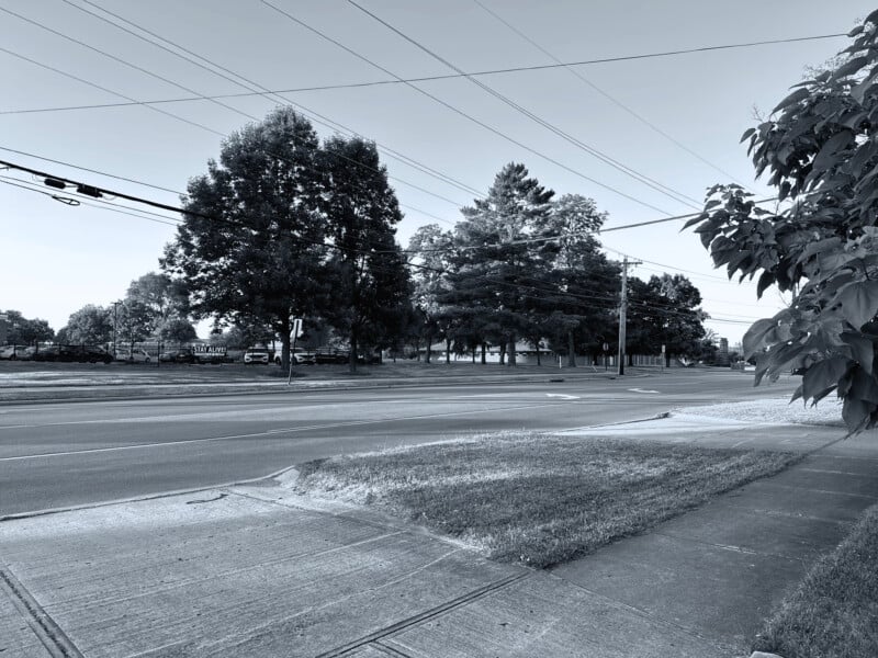 A black and white image depicts a quiet street lined with tall trees and power lines. The sidewalk follows the street, and a patch of grass is visible in the foreground. The scene is serene and empty of people and vehicles.