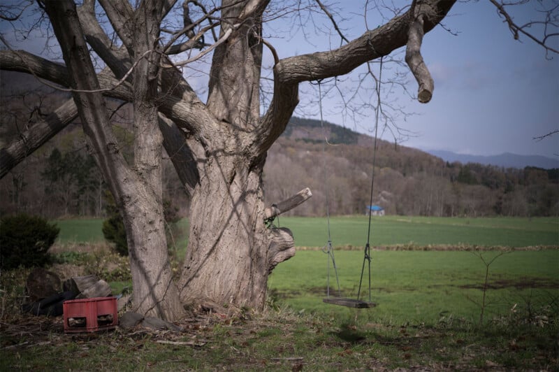 A weathered wooden swing hangs from the large, gnarled branches of a leafless tree in an open field. Nearby, there is a red plastic crate and a black bag on the ground. The background features rolling hills and distant trees under a cloudy sky.