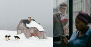 On the left, a wooden house is covered in snow with two dogs playing in front. Snow is falling from a gray sky. On the right, a man wearing glasses and holding a mask under his chin and a bouquet of red roses looks from outside a window at a woman holding a phone.