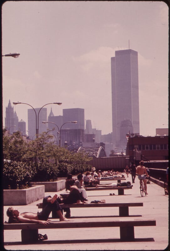 People sunbathing on benches and walking along a pathway in a park with the New York City skyline, including the Twin Towers, in the background on a sunny day.