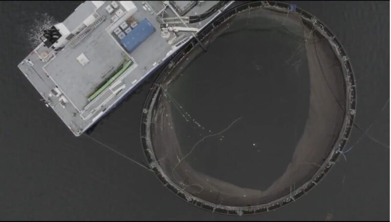 Aerial view of an aquaculture fish farm next to a pier. The farm consists of a large circular net enclosure submerged in the water. The pier has several buildings and equipment on it. The water in the enclosure appears dark, indicating depth.