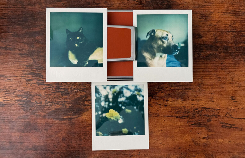 Three Polaroid photos lie on a wooden surface. One features a black cat, another shows a brown dog looking to the side, and the third depicts yellow flowers among green leaves. The photos are arranged in a T-shape with an orange Polaroid camera partially visible underneath.