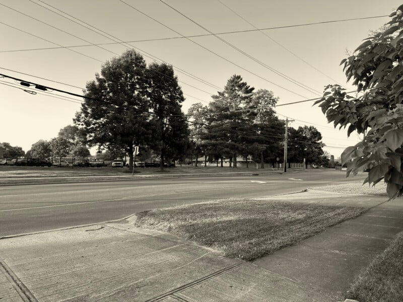 A quiet, empty street lined with large trees and electrical wires overhead. The sidewalk and grass verge in the foreground lead to a larger expanse of road. The scene is in black and white, giving it a timeless, tranquil feel.