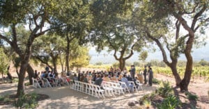 A wedding ceremony is taking place outdoors under a canopy of trees. Guests are seated on white chairs arranged in rows, facing the couple and officiant. The background features a scenic vineyard with rolling hills and clear skies. String lights are hung between the trees.