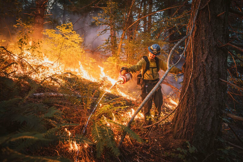 A firefighter wearing protective gear and a helmet uses a hose to extinguish flames while standing amid a forest fire. Smoke billows around the burning greenery as the firefighter works to contain the blaze, surrounded by trees and dense underbrush.