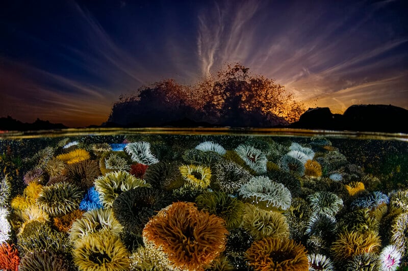 A stunning underwater photograph showing a vibrant coral reef with various colorful corals. Above the water, the sky is filled with dramatic, streaked clouds illuminated by a setting sun, creating a serene and contrasting scene between the underwater and above-water environments.