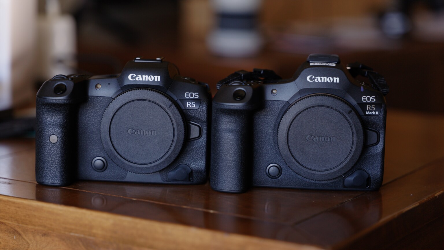 Don't Let the Canon R1 Situation Distract You: The R5 II is Pretty ...
