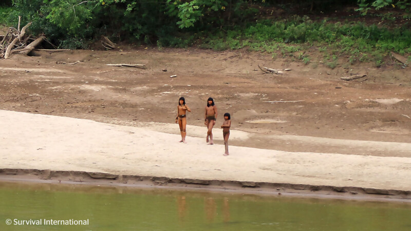 Three individuals, possibly members of an indigenous community, stand on a sandy riverbank. The river is calm, flanked by greenery and dense forest. The people appear to be observing or engaging with something near the water's edge.