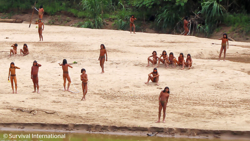 A group of indigenous people is seen gathered on a sandy beach by a river. Some individuals are standing, others are sitting, and a few appear to be engaging in various activities. Dense green vegetation is visible in the background. Image credit: Survival International.