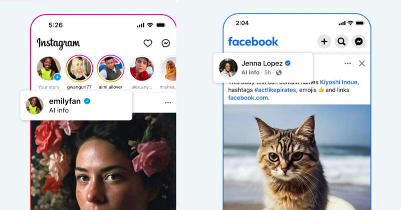 The image shows two social media user interfaces side-by-side. The left screen displays an Instagram feed with stories and a highlighted profile named "emilyfan." The right screen shows a Facebook post by "Jenna Lopez," featuring a photo of a cat in front of a beach.