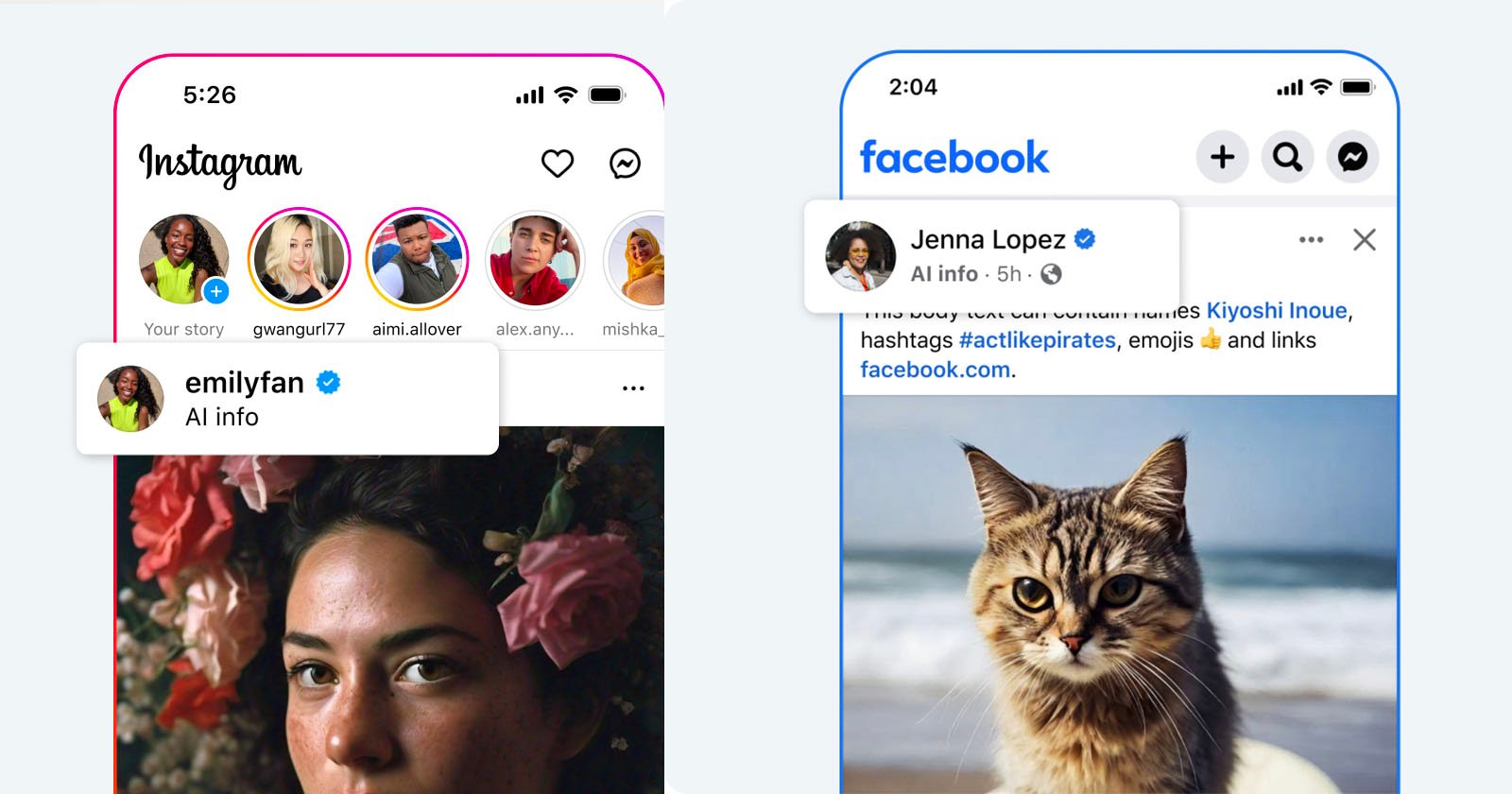 The image shows two social media user interfaces side-by-side. The left screen displays an Instagram feed with stories and a highlighted profile named "emilyfan." The right screen shows a Facebook post by "Jenna Lopez," featuring a photo of a cat in front of a beach.