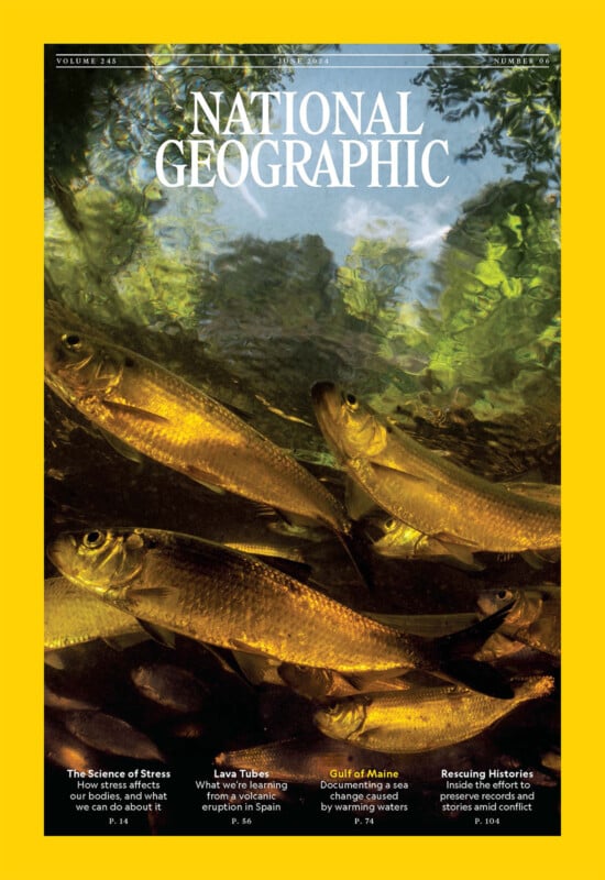 Cover of National Geographic magazine featuring a photograph of underwater fish swimming in a murky body of water. The cover includes article headlines such as "The Science of Stress," "Lava Tubes," "Gulf of Maine," and "Rescuing Histories.