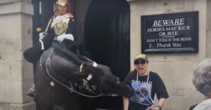A woman in a cap and sunglasses looks alarmed as a horse bends its head towards her, with a mounted guard in ceremonial uniform in the background. A sign on the building reads, "BEWARE HORSES MAY KICK OR BITE. DON'T TOUCH THE REINS. Thank You.