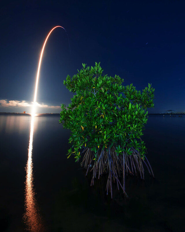 A time-lapse photo of a rocket launch at night, with the trajectory forming an arc in the sky. In the foreground, a small mangrove tree stands in calm water, reflecting parts of the light from the launch. The sky is clear and dark, highlighting the rocket's bright path.