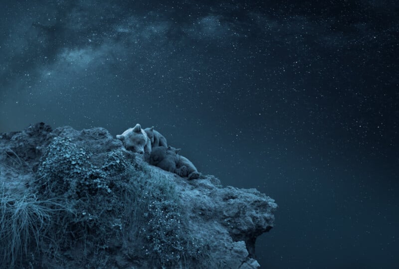 A mother bear and her cub sleep on the edge of a rocky cliff under a starry night sky. The Milky Way is visible, adding to the serene, dreamlike atmosphere of the scene.