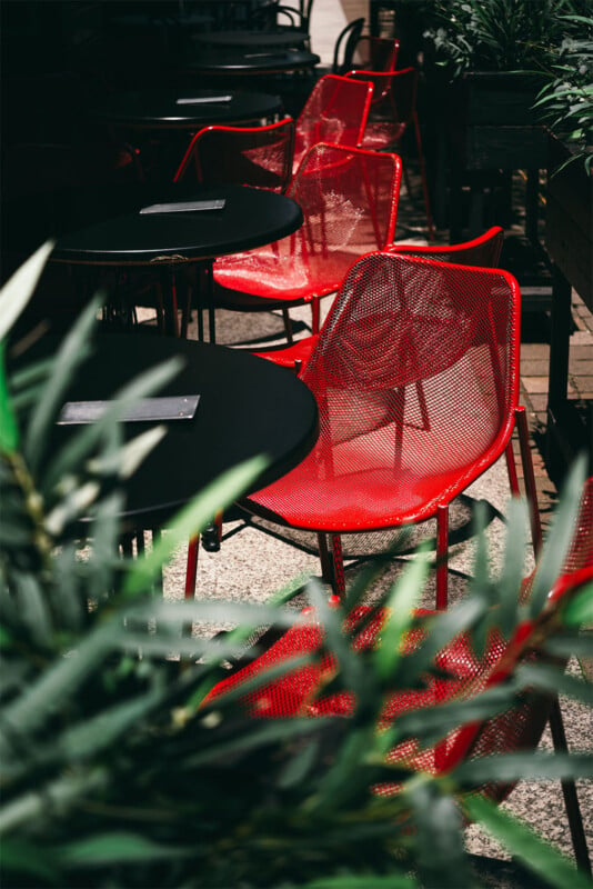 A row of empty red metal chairs at black round tables on an outdoor patio. The chairs and tables are partially obscured by green plant leaves in the foreground. The setting appears to be sunny, with shadows indicating bright sunlight.