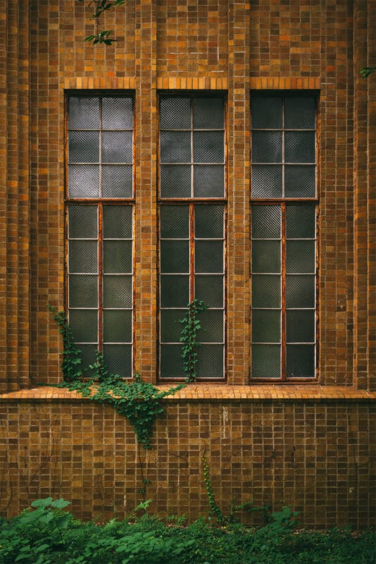 Tall, aged brick wall with three narrow, vertically aligned windows, each with small glass panes. The windows have a rusty frame, and vines grow up from the base, adding a touch of greenery against the brown bricks.