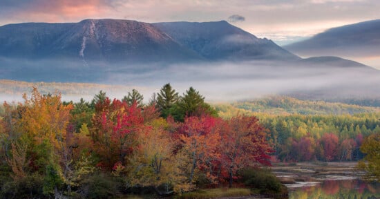 A scenic autumn landscape features a forest of colorful trees in shades of red, yellow, and orange. Above the trees, a layer of fog extends across the horizon. In the background, tall mountains partially covered with clouds rise under a sky tinged with soft hues of pink and blue.
