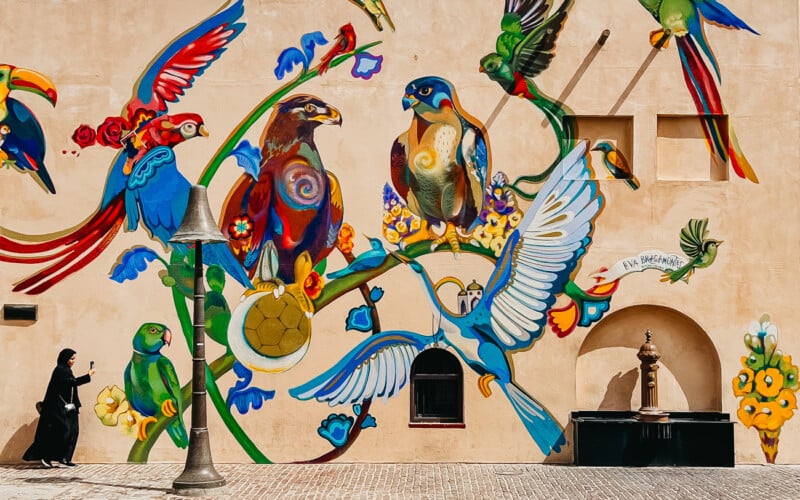 A vibrant mural featuring colorful birds, including parrots, falcons, and toucans, adorns a beige wall. A person dressed in black walks by, contrasting with the vivid artwork. The scene includes windows and street elements, creating an urban artistic atmosphere.