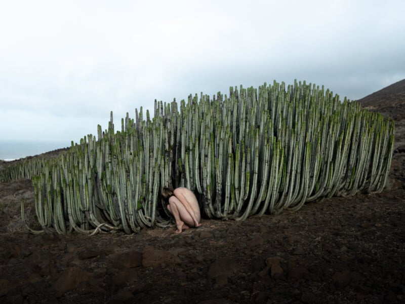 A person is crouched and partially hidden under a large, dense cluster of green cacti in a desolate, rocky landscape with a cloudy sky in the background.