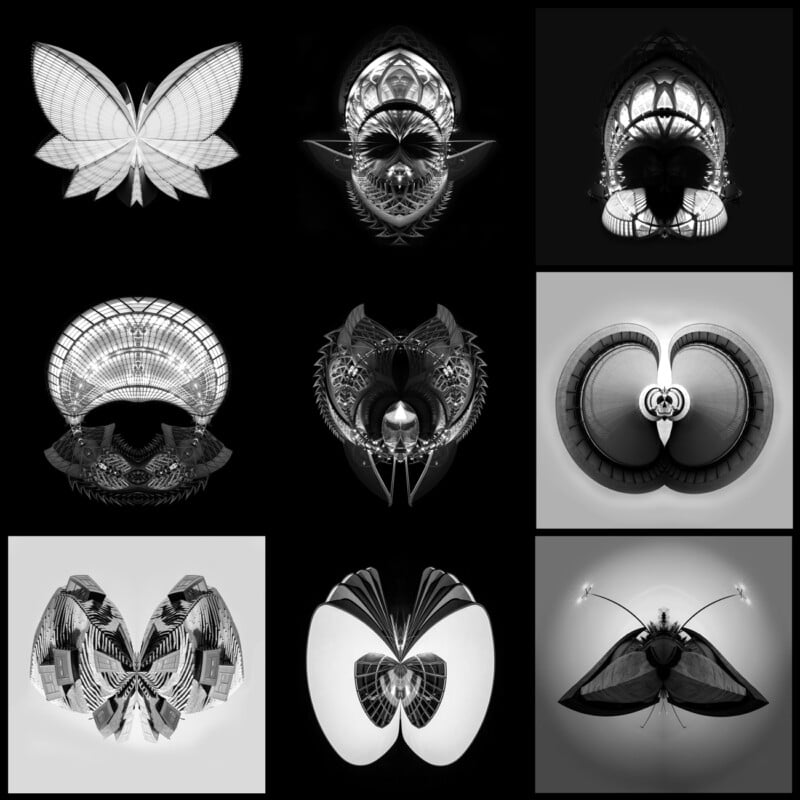 A 3x3 grid of black and white abstract images, each resembling various butterfly shapes. The butterflies are formed from intricate, symmetrical patterns, some with geometric and others with more fluid designs, creating a surreal and artistic visual effect.