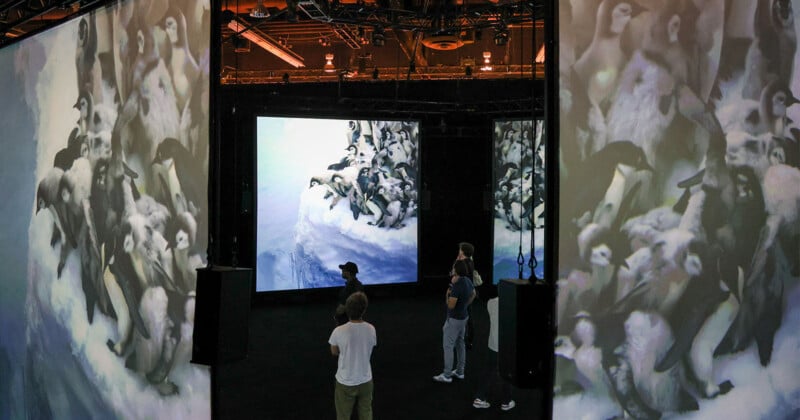 Several people stand in a dimly lit room surrounded by large video screens displaying images of penguins huddled together in an icy environment. The immersive setup creates a sense of being amidst the penguins.