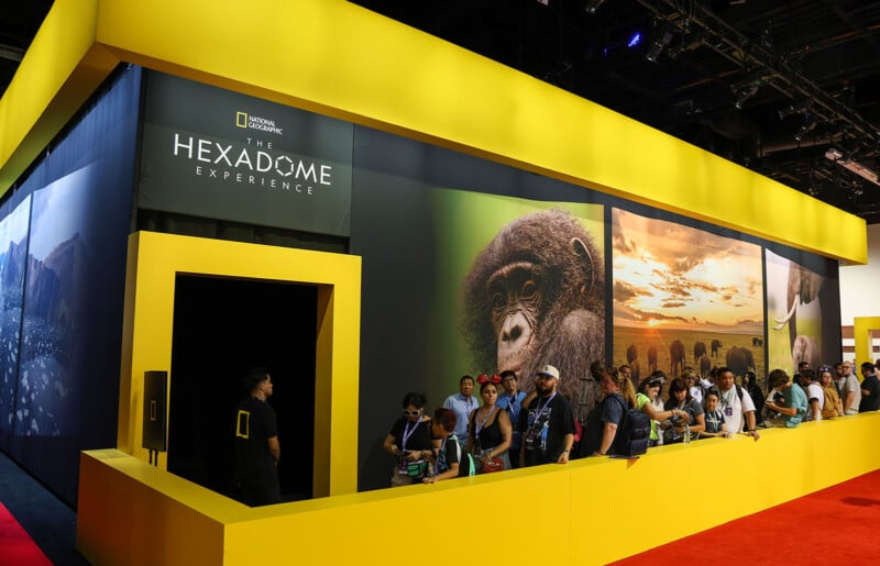 A large crowd lines up outside the bright yellow and black entrance to "The Hexadome Experience" exhibit, featuring National Geographic branding and large wildlife photos of a gorilla and a sunset. The venue appears to be a bustling and lively event.